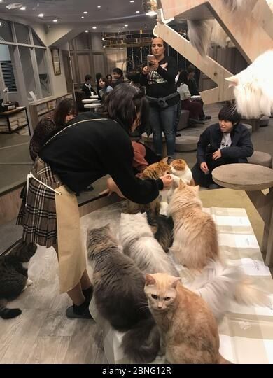 последний случай компании о Specific Customer Feedback (Anonymous Compilation)